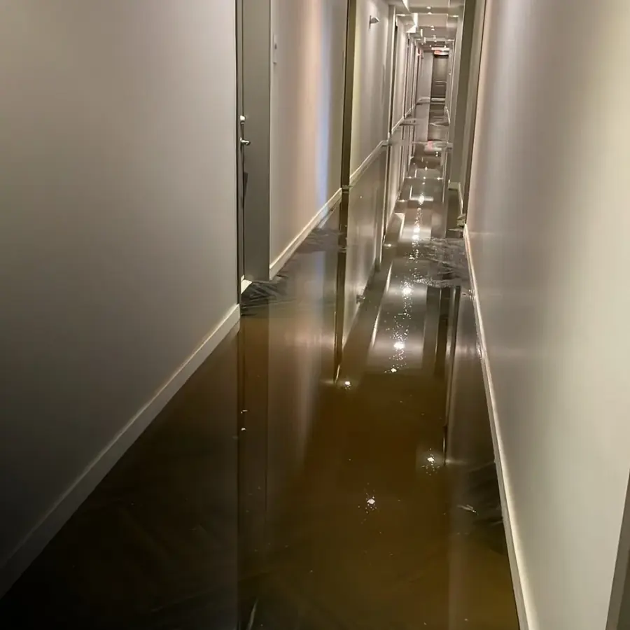 Storm flooding pumped from a finished basement in a Smyrna, GA home