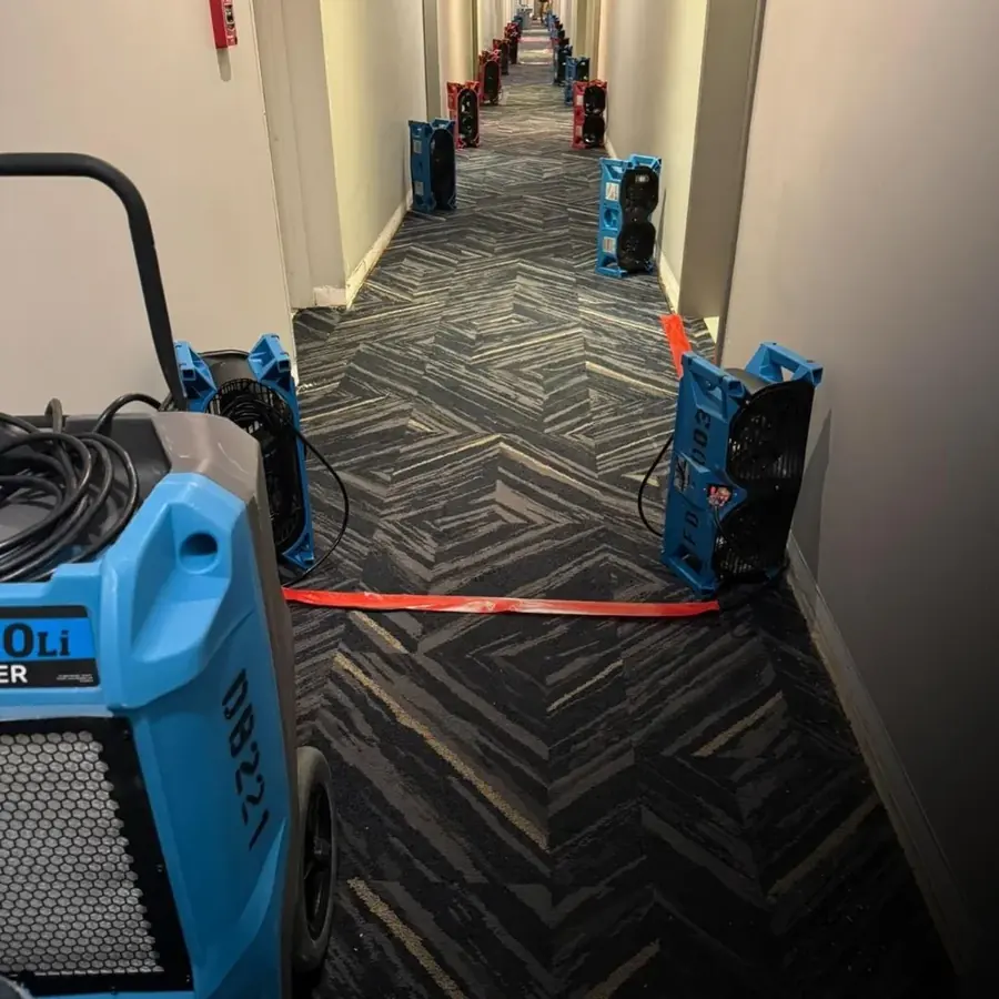 Structural Drying & Dehumidification in a Smyrna, GA home